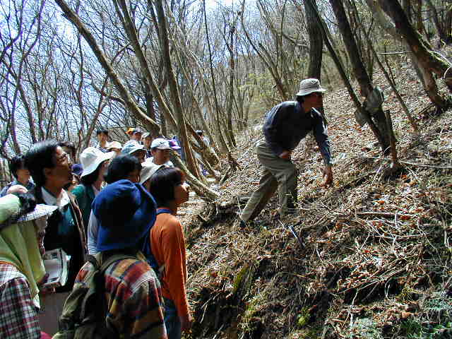 ���w���i